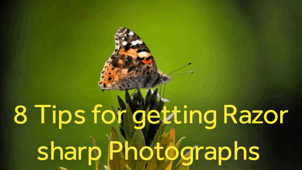 8tips for getting razor-sharp photographs