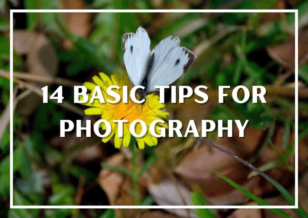 14 basic tips for photography