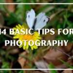 14 basic tips for photography